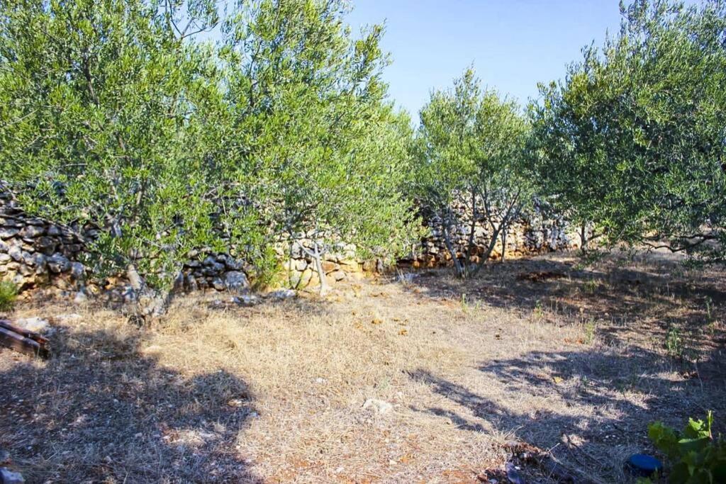 Villa Kuca Za Odmor Obitelji Pedisic Banj Esterno foto